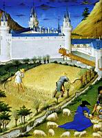 Fauchage des bles et tonte des moutons (Les tres riches heures du Duc de Berry, des Freres Limbourg)